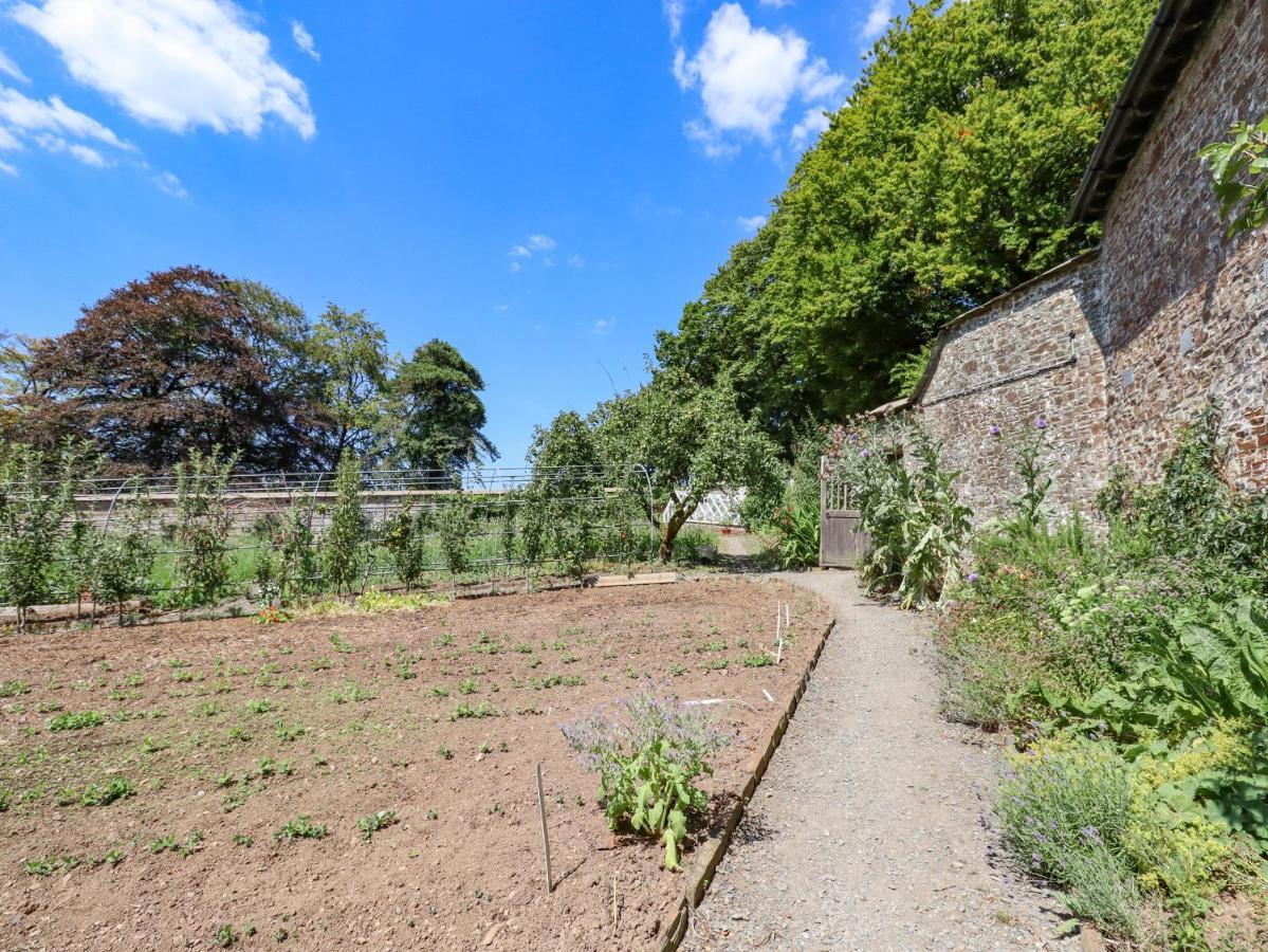 Nethercott House Winkleigh Exterior foto